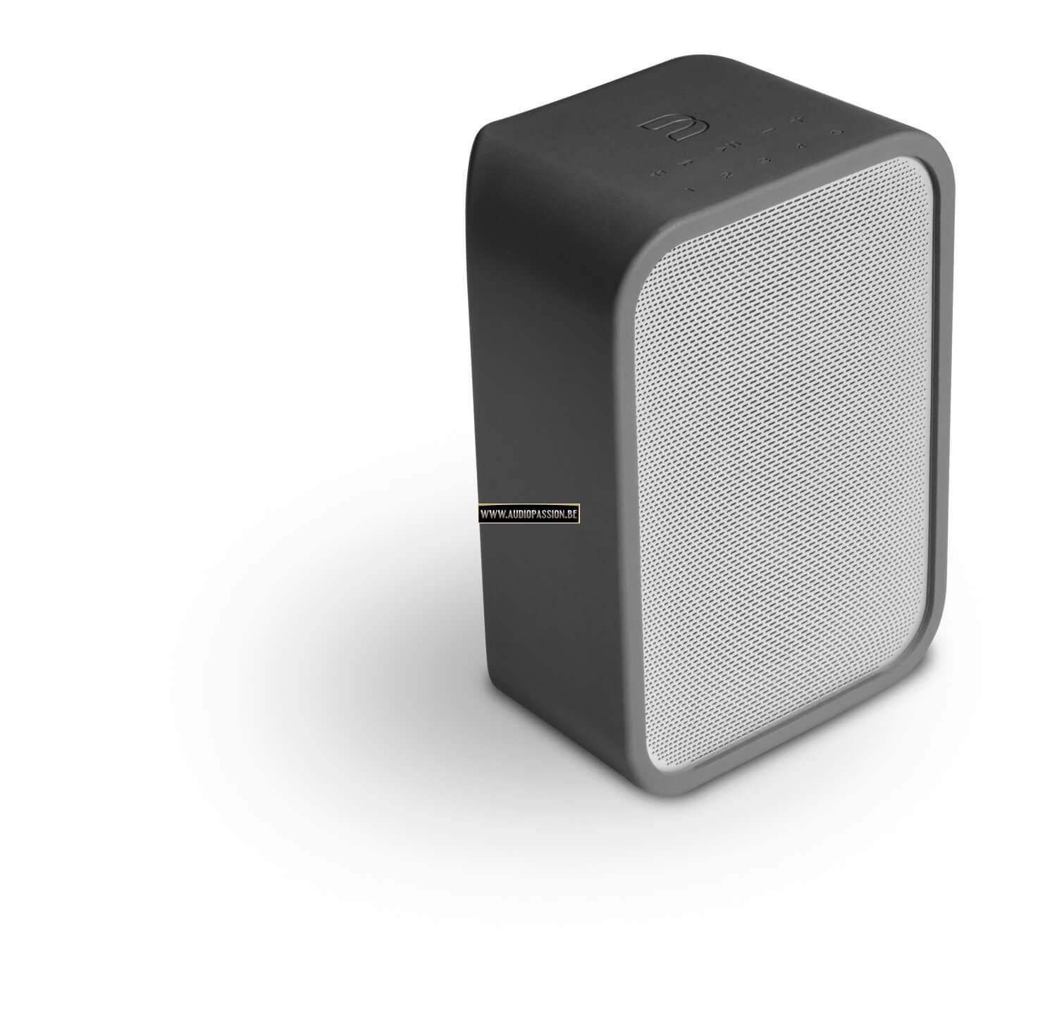 Bluesound Pulse Flex 2 Skin