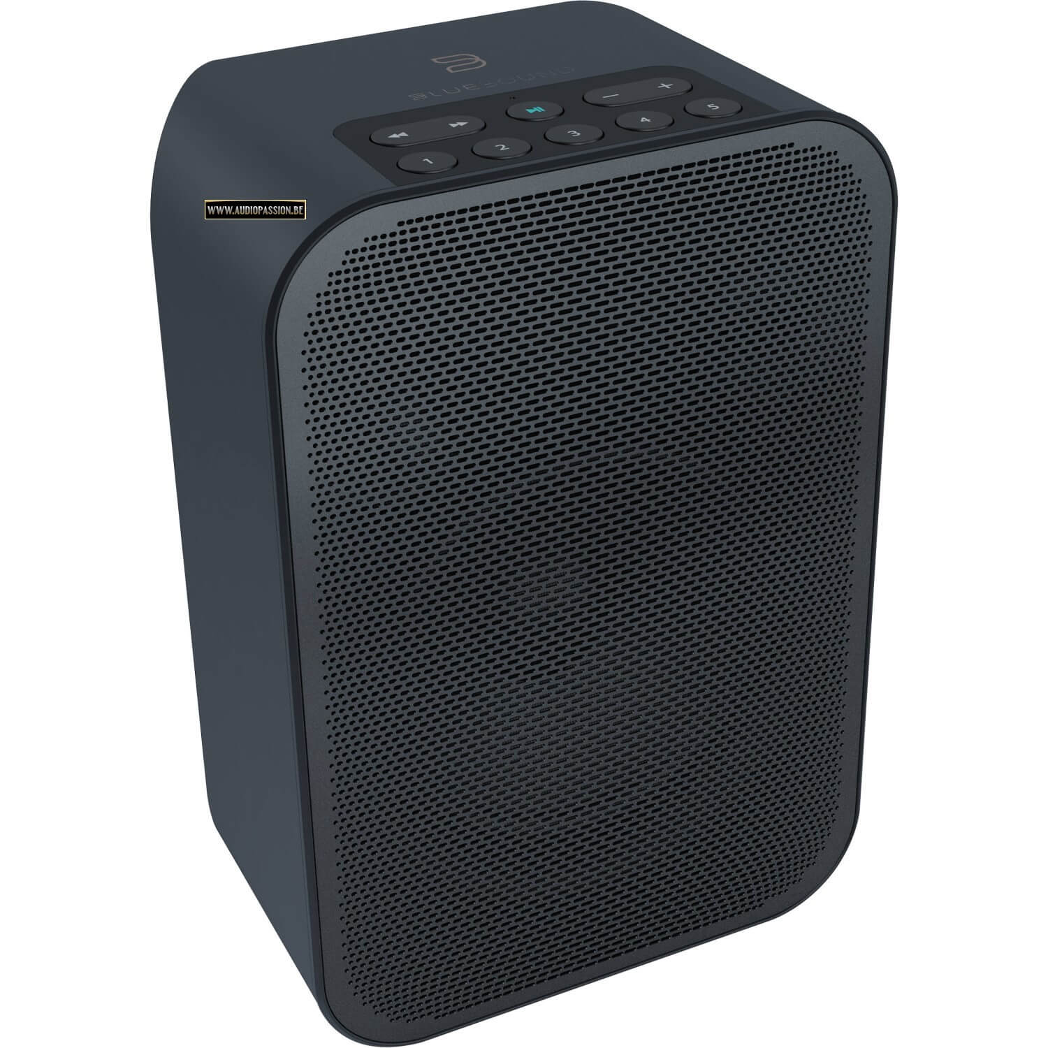 Bluesound Pulse Flex 2i