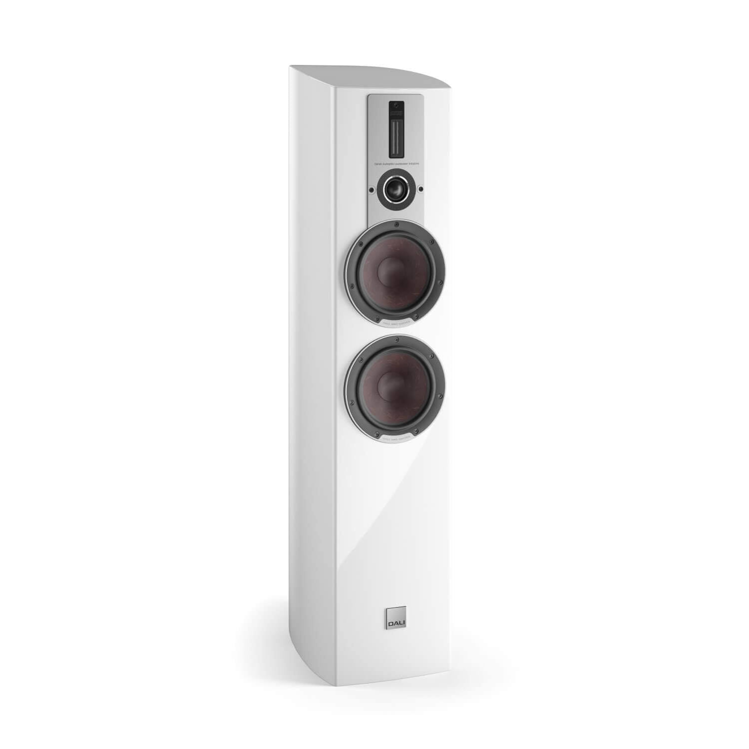 Dali Epicon 6